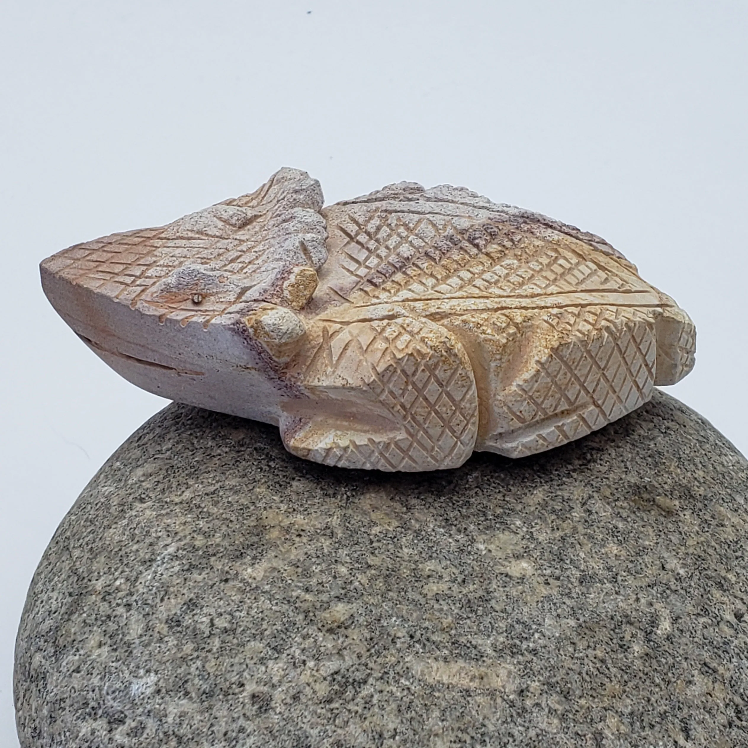 Grinning Sandstone Horned Toad