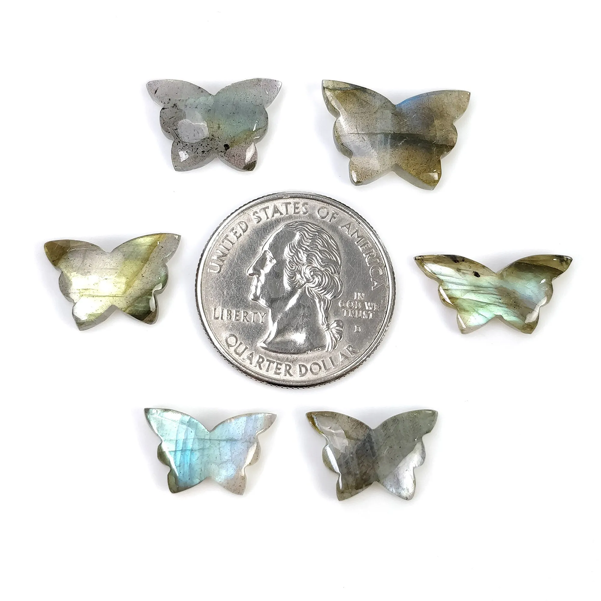 LABRADORITE Gemstone Carving : 27.00cts Natural Untreated Labradorite Gemstone Hand Carved Butterfly 15*10mm - 18*12mm 6pcs (With Video)