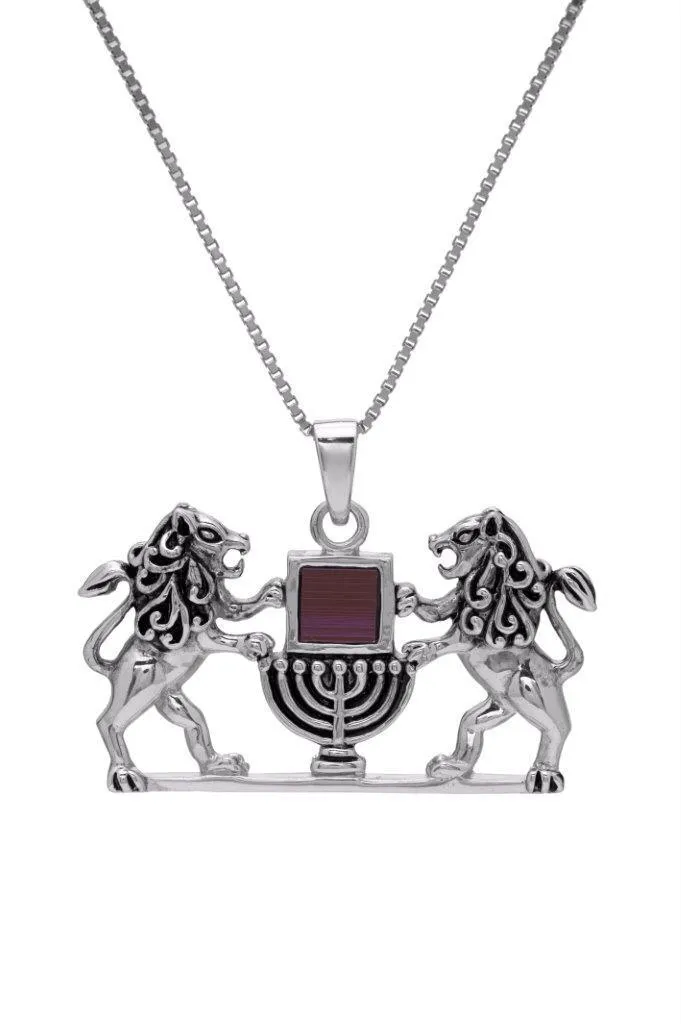 Lion of Judah and Magen David with Jerusalem Nano Bible Torah Pendant Necklace Silver 925