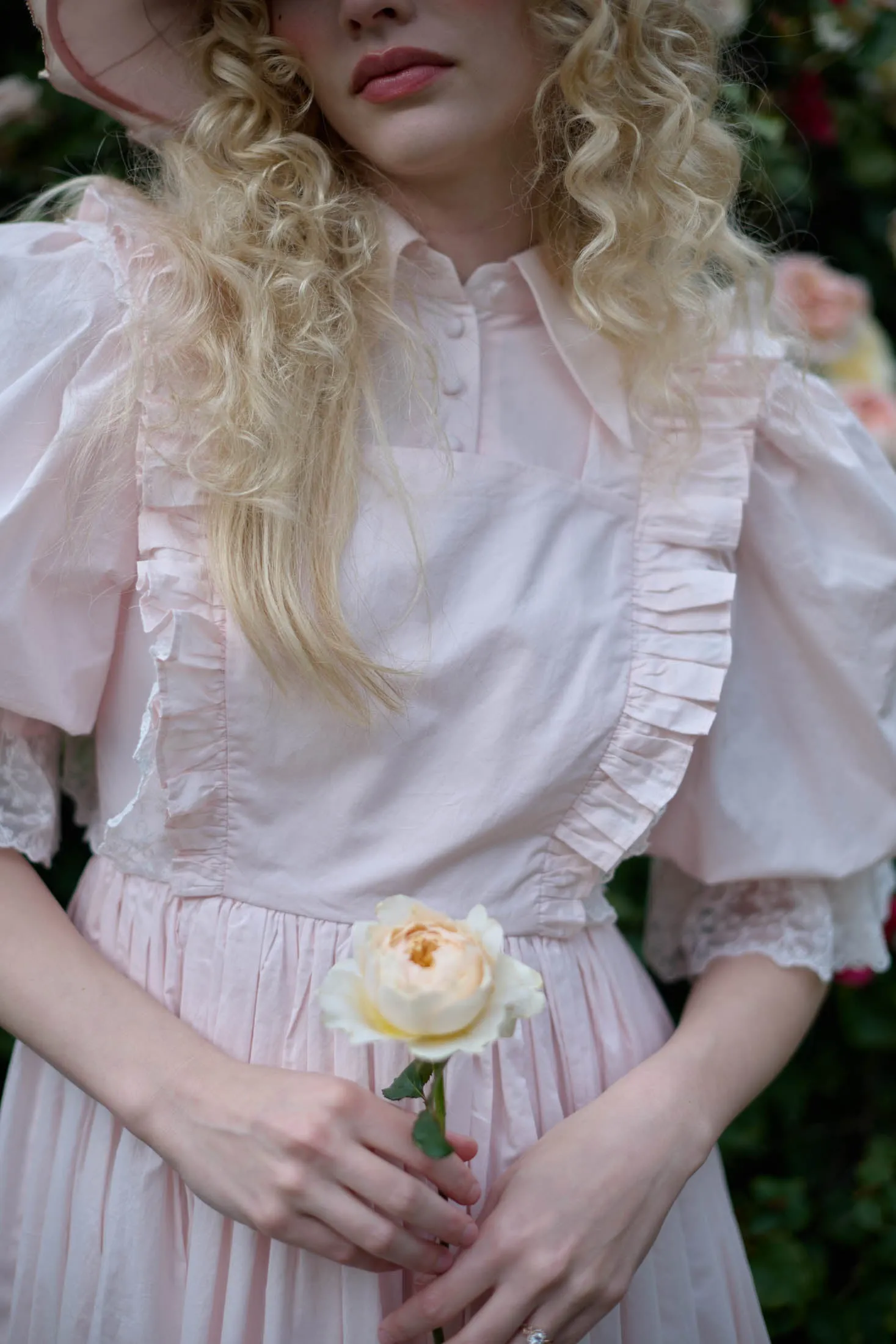 The Confection French Storybook Dress